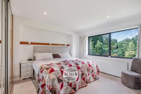 Full size-5 (Large).jpg