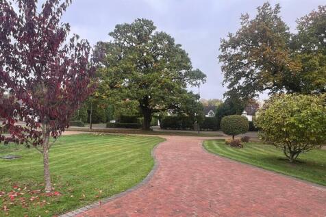 IMG_3116 (Large).jpeg