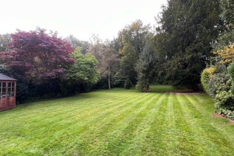 IMG_3118 (Large).jpeg