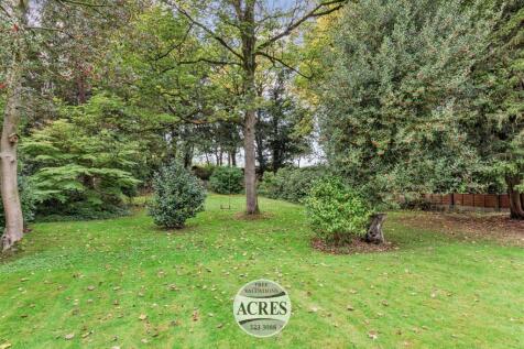 TheSpinney (41) (Large).jpg