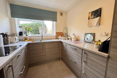 IMG_8781 (Large).JPG