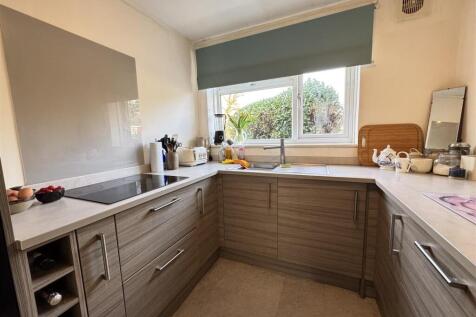 IMG_8787 (Large).JPG