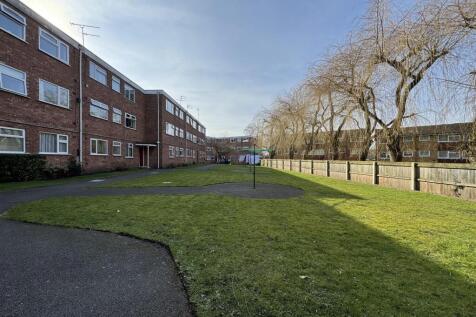 IMG_8825 (Large).JPG