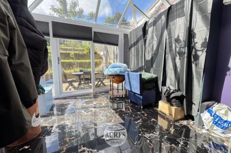 IMG_2222 (Large).jpg