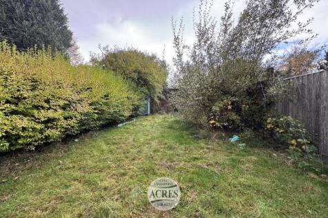 IMG_8013 (Large).jpg