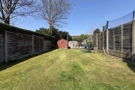 IMG_0884 (Large).jpeg