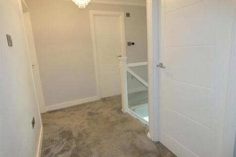 P1610162-fotor-20230626102518 (Large).jpg