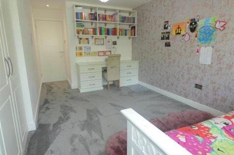 P1610147-fotor-20230626102049 (Large).jpg