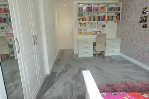 P1610148-fotor-20230626102127 (Large).jpg