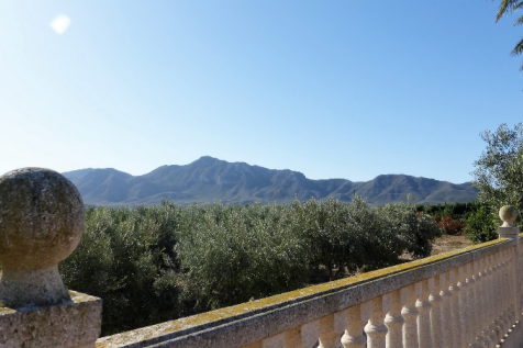 5 Bedroom Finca For Sale-LEIVA03-21