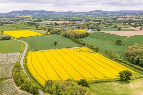 DJI_0458-2.jpg