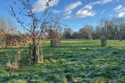 PHOTO-2026-01-05-13-23-12 3.jpg