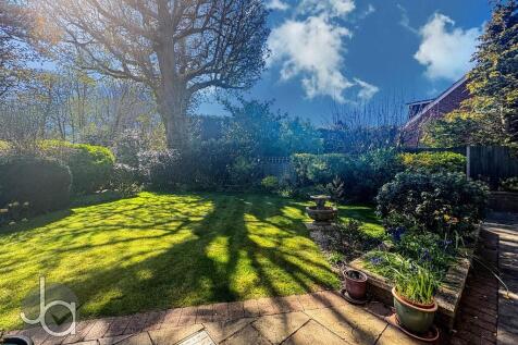 20250405_13232016...