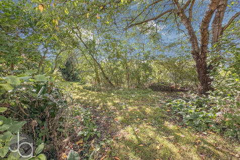 20250905_10005338...