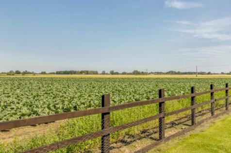 Millers Cottage (Friskney)-15