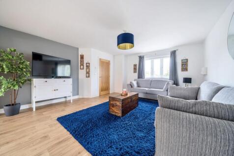 1289505-15-682af943eda31-ARW