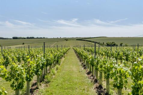 Pilgrims Nook Vineyard.jpg