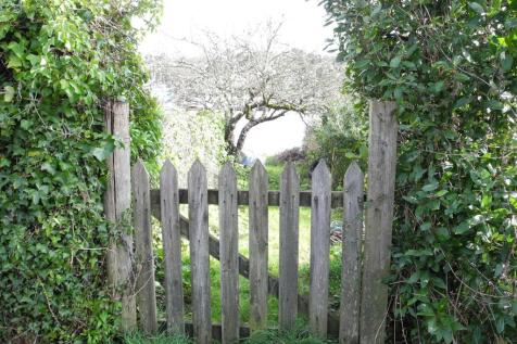 DSCN0865.JPG