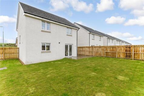 Back Garden
