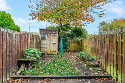 Back Garden
