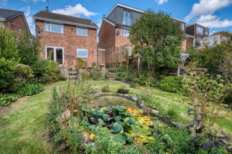 Garden pond and lawn.jpg