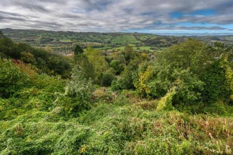 View from Bedroom.jpg