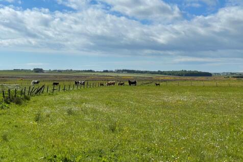 Kinlochy Farm