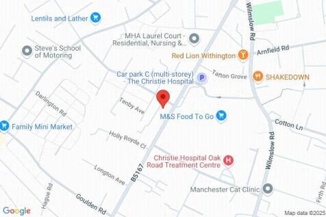 Google Maps Image