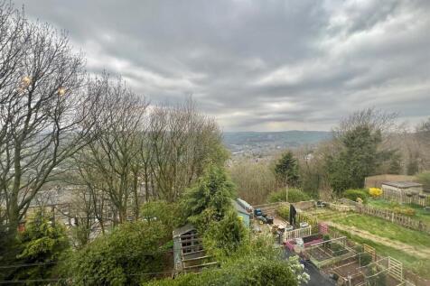 view.jpg