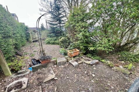 garden.jpg
