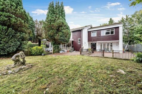 Property Image 14