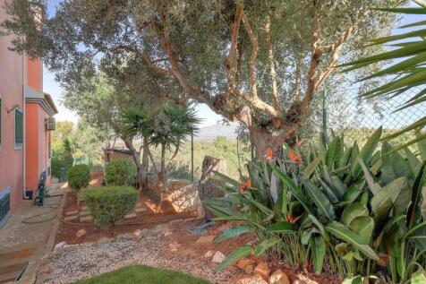 low maintenance gardens