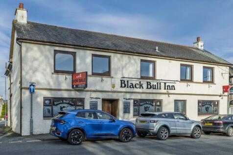 BlackBull_230-HDR