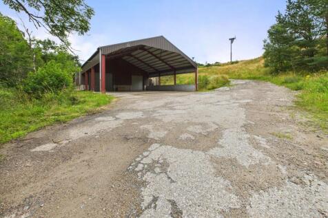 CAM03481G0-PR0116-STILL001