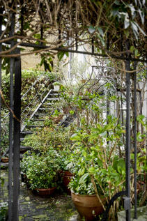 Canonbury-Lane-DG-23.jpg