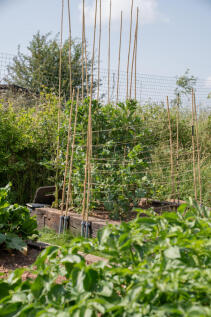 293290 - _A745785.jpg