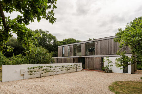 303765 - Woodpeckers-5.jpeg