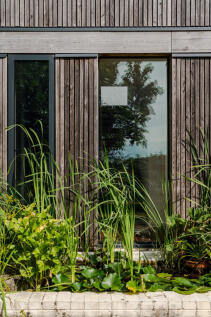 303784 - Woodpeckers-24.jpeg