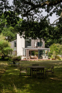 303779 - Woodpeckers-19.jpeg