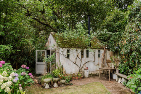 303761 - Woodpeckers-1.jpeg