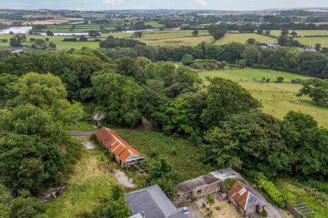 304134 - 1335925-1-689ca13547fa1.jpg