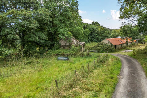 304129 - 1335925-6-689ca17653f72.jpg