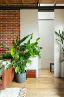 248931 - PRIORY-GROVE-2025-09.jpg