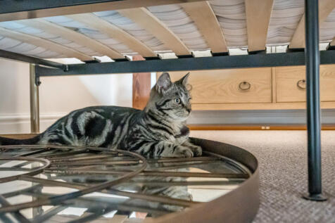 1360696-26-68dd3f...