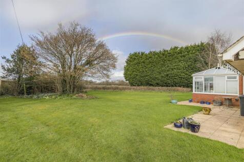 Rainbow (2).jpg