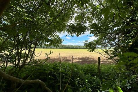 2  Medium  T202506121519.jpeg