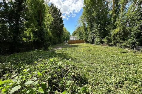 3  Medium  T202506121519.jpeg