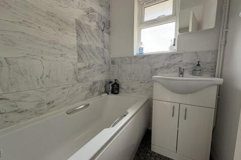 IMG 2662  Medium  T202509261301.jpg