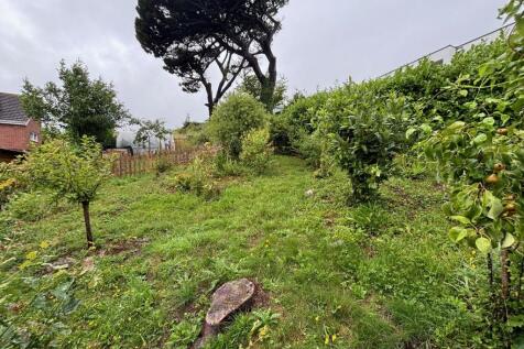Garden - 2