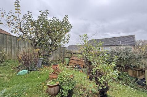 Pattinson Drive 48 - Garden Two.jpg